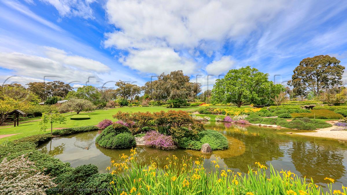 Peter Bellingham Photography Japanese Garden - Cowra